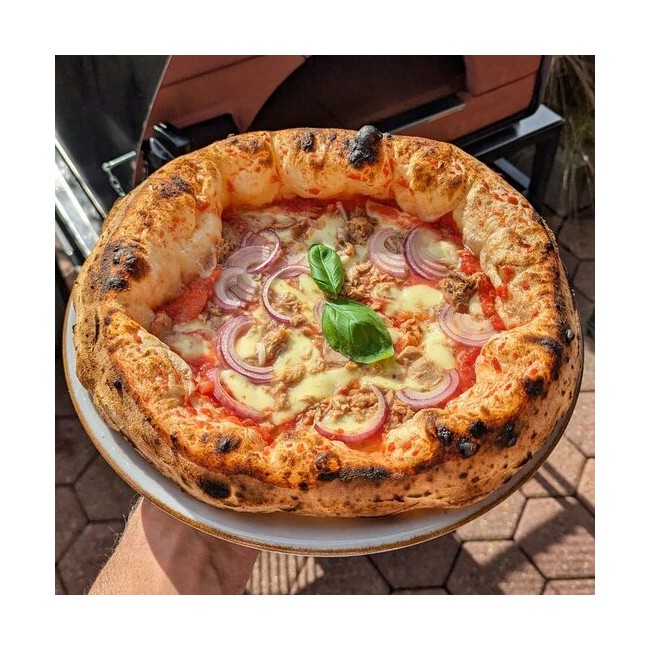 four à pizza
four à gaz
four extérieur
four pizza party
four à double alimentation
four à bois Bollore