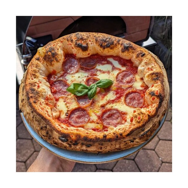 piec do pizzy  
piec gazowy  
piec na zewnątrz  
piec na pizzę na imprezę  
piec dwupaliwowy  
piec opalany drewnem Bollore