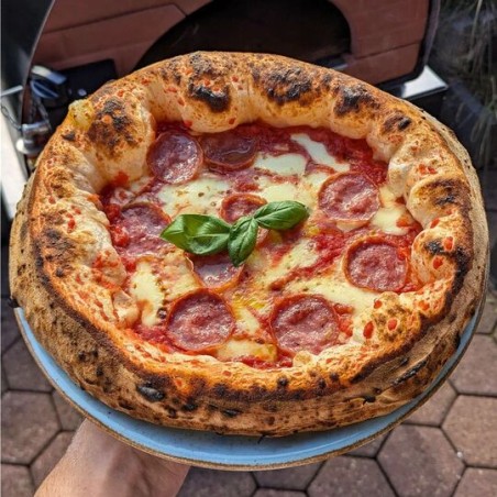 pizza oven
gas oven
outdoor oven
pizza party oven
dual-fuel oven
wood-fired oven Bollore