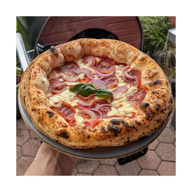 piec do pizzy  
piec gazowy  
piec na zewnątrz  
piec na pizzę na imprezę  
piec dwupaliwowy  
piec opalany drewnem Bollore