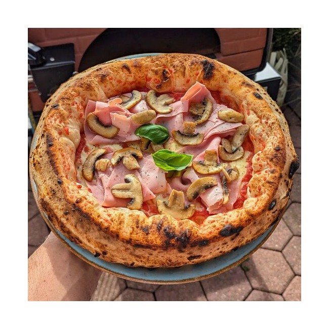 pizza oven
gas oven
outdoor oven
pizza party oven
dual-fuel oven
wood-fired oven Bollore