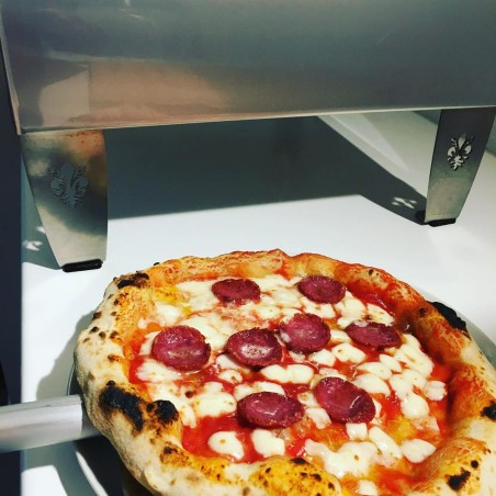 Utomhus gasdriven pizzaugn mobil ArdorePizza Party