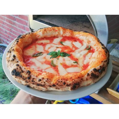 Mobilny piec do pizzy na gaz zewnętrzny ArdorePizza Party