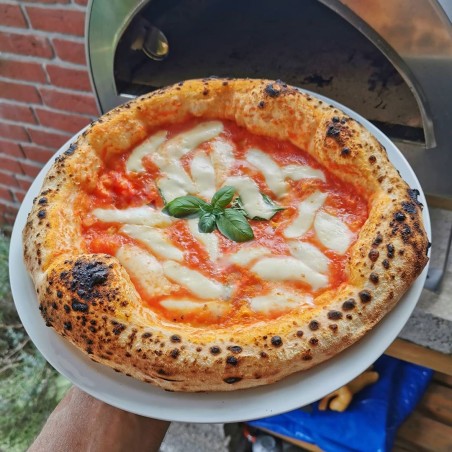 Utomhus gasdriven pizzaugn mobil ArdorePizza Party