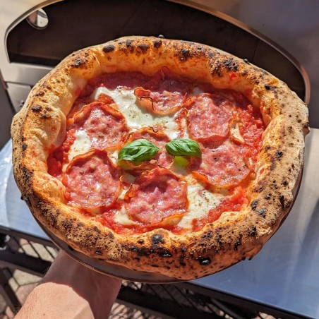 Large outdoor gas fired pizza oven mobile Emozione Pizza Party 2 pizza