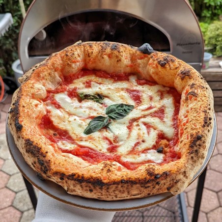 Large outdoor gas fired pizza oven mobile Emozione Pizza Party 2 pizza
