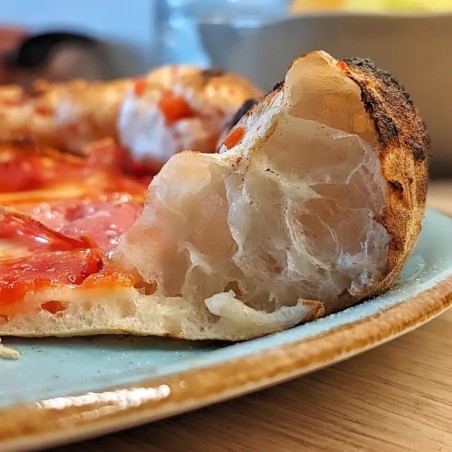 Il più grande forno a gas da 2 pizze per uso esterno Emozione leggero e facile da usare