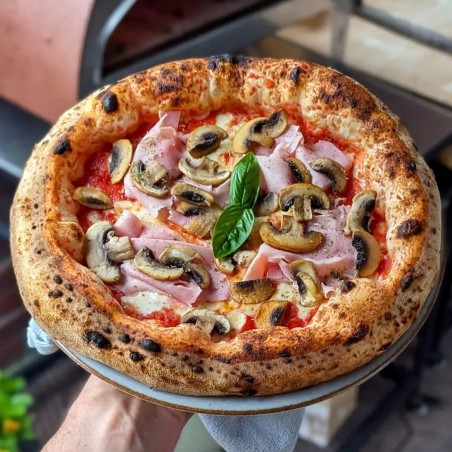 Großer mobiler Gas-Pizzaofen im Freien Emozione Pizza Party für 2 Pizzen