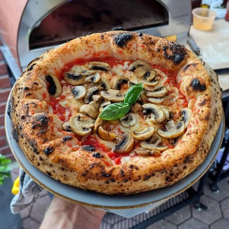 Stor utomhus gasdriven pizzaugn mobil Emozione Pizza Party 2 pizza