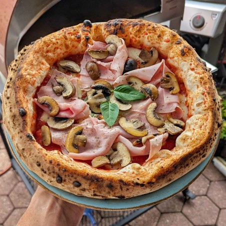 Duży mobilny piec do pizzy na gaz na zewnątrz Emozione Pizza Party 2 pizze