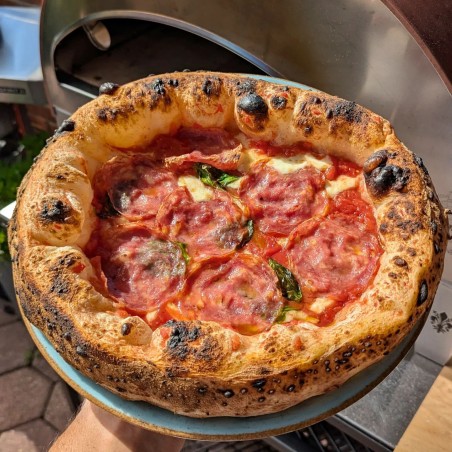 Large outdoor gas fired pizza oven mobile Emozione Pizza Party 2 pizza