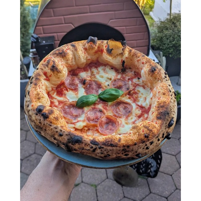 Udendørs gasdrevet pizzaovn – Hybrid ovn med brænde og gas