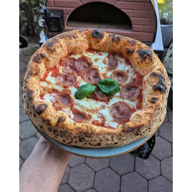 Forno a gas per pizza da esterno - Forno a legna e gas ibrido Bollore