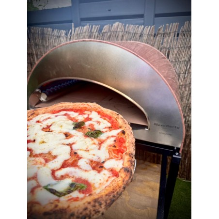 Stor utomhus gasdriven pizzaugn mobil Ispirazione