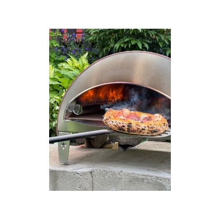 Stor utomhus gasdriven pizzaugn mobil Ispirazione