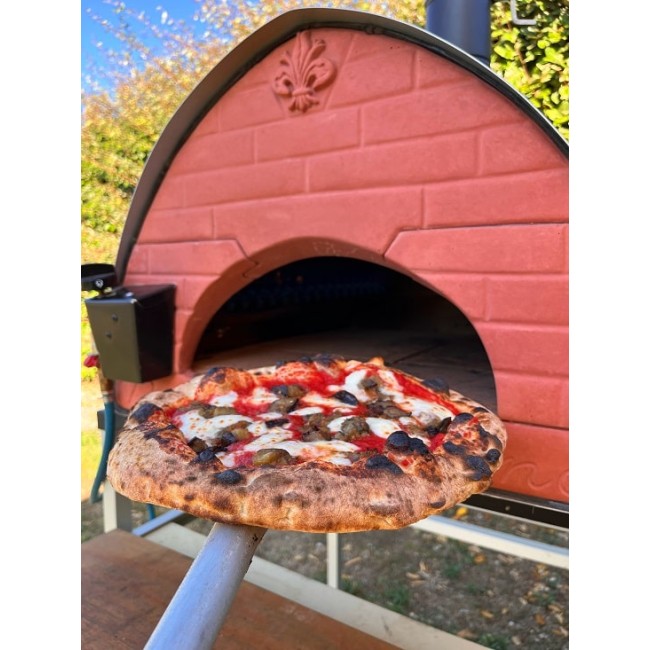 Udendørs gasdrevet pizzaovn – Hybrid ovn med brænde og gas